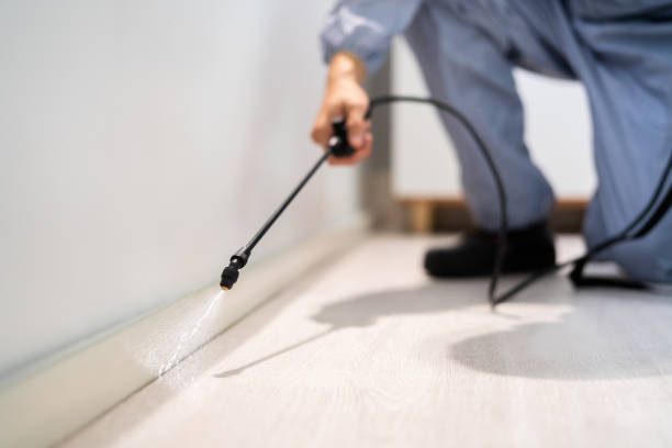Licensed Pest Control service in Vicksburg, MI - Show Me Pest Control