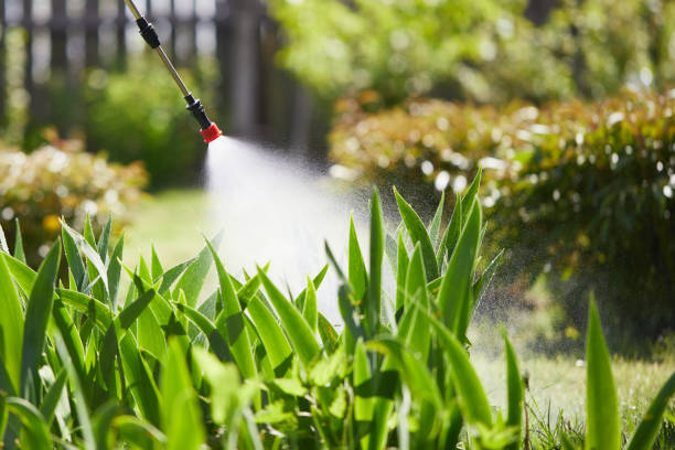 Tamper-Resistant Bait Stations for Rodents in Vicksburg