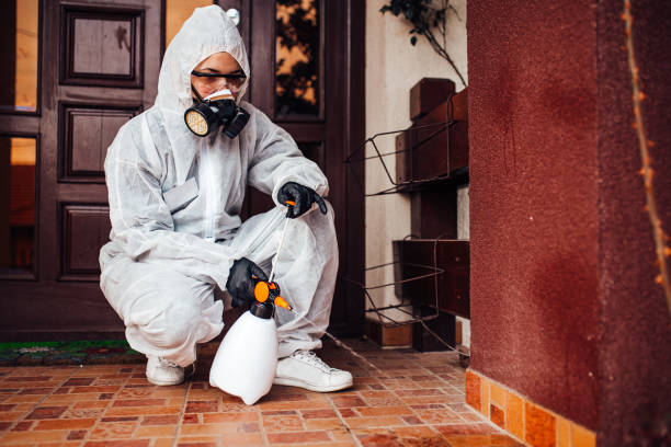 Attic and Crawl Space Rodent Treatment in Vicksburg