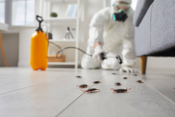 Commercial Rodent Management in Vicksburg